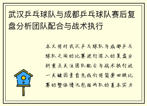 武汉乒乓球队与成都乒乓球队赛后复盘分析团队配合与战术执行