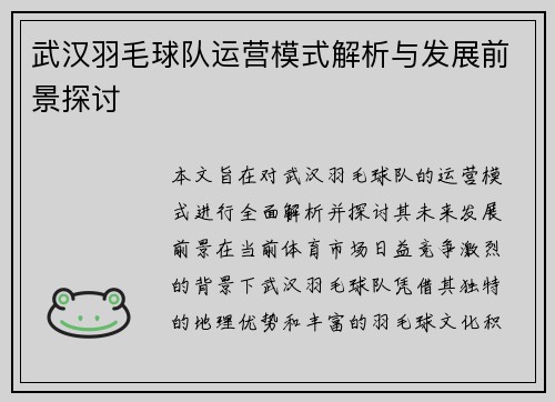 武汉羽毛球队运营模式解析与发展前景探讨